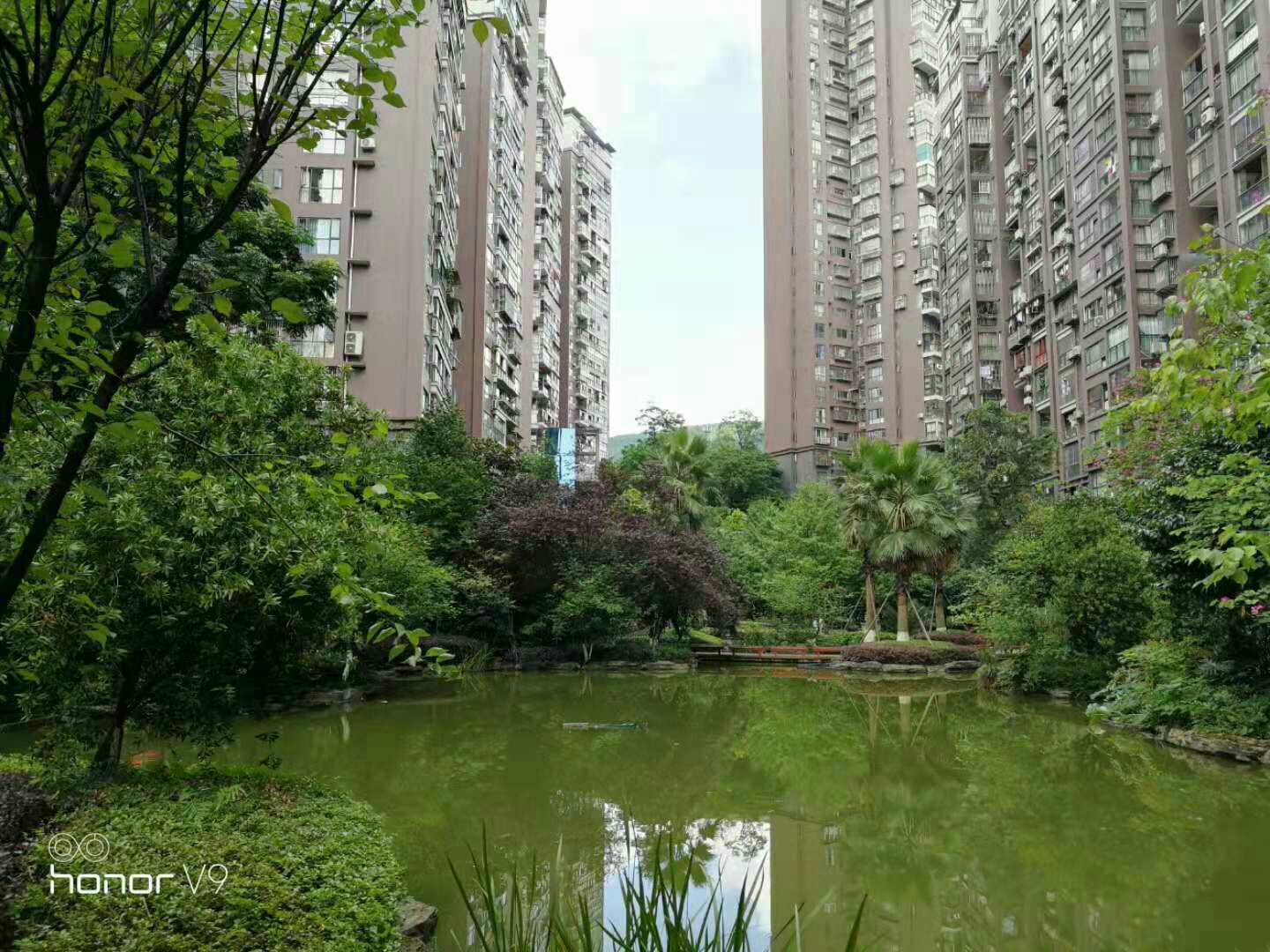罗浮南山美庐