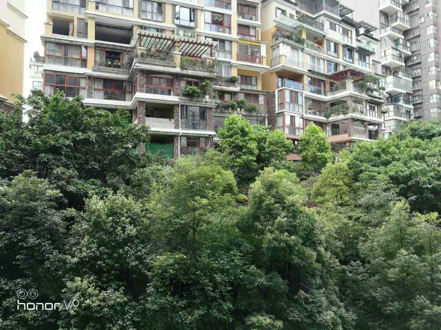 罗浮南山美庐