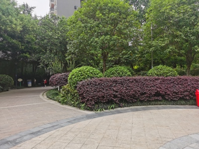 瑞城麓岛国际