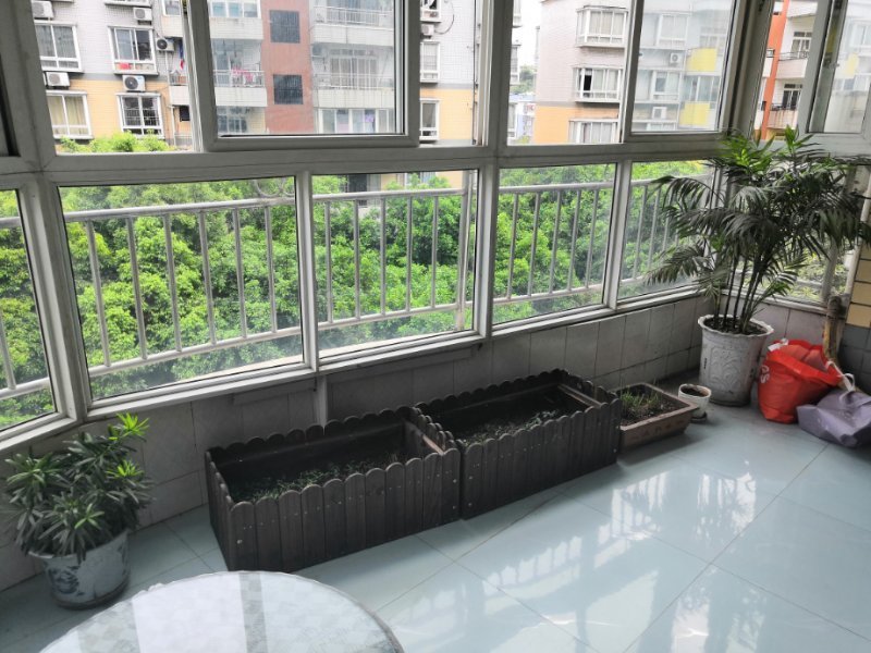 罗浮阳光