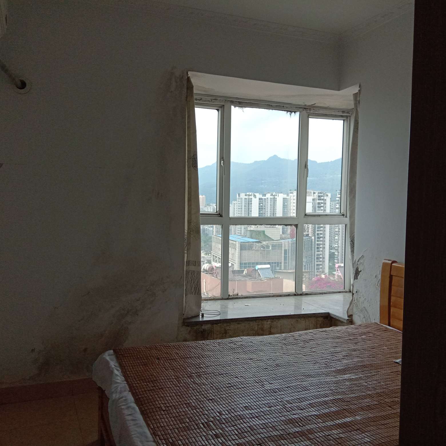 棕榈岛