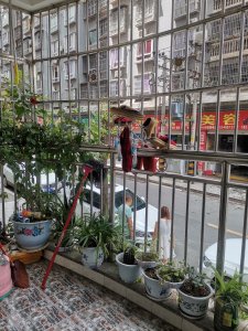 清晨御廷苑一期