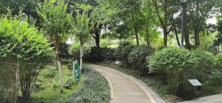 瑞城麓岛国际