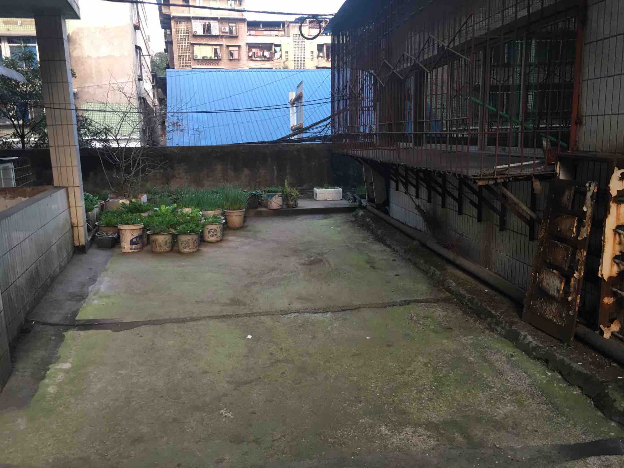 牌樓路165號