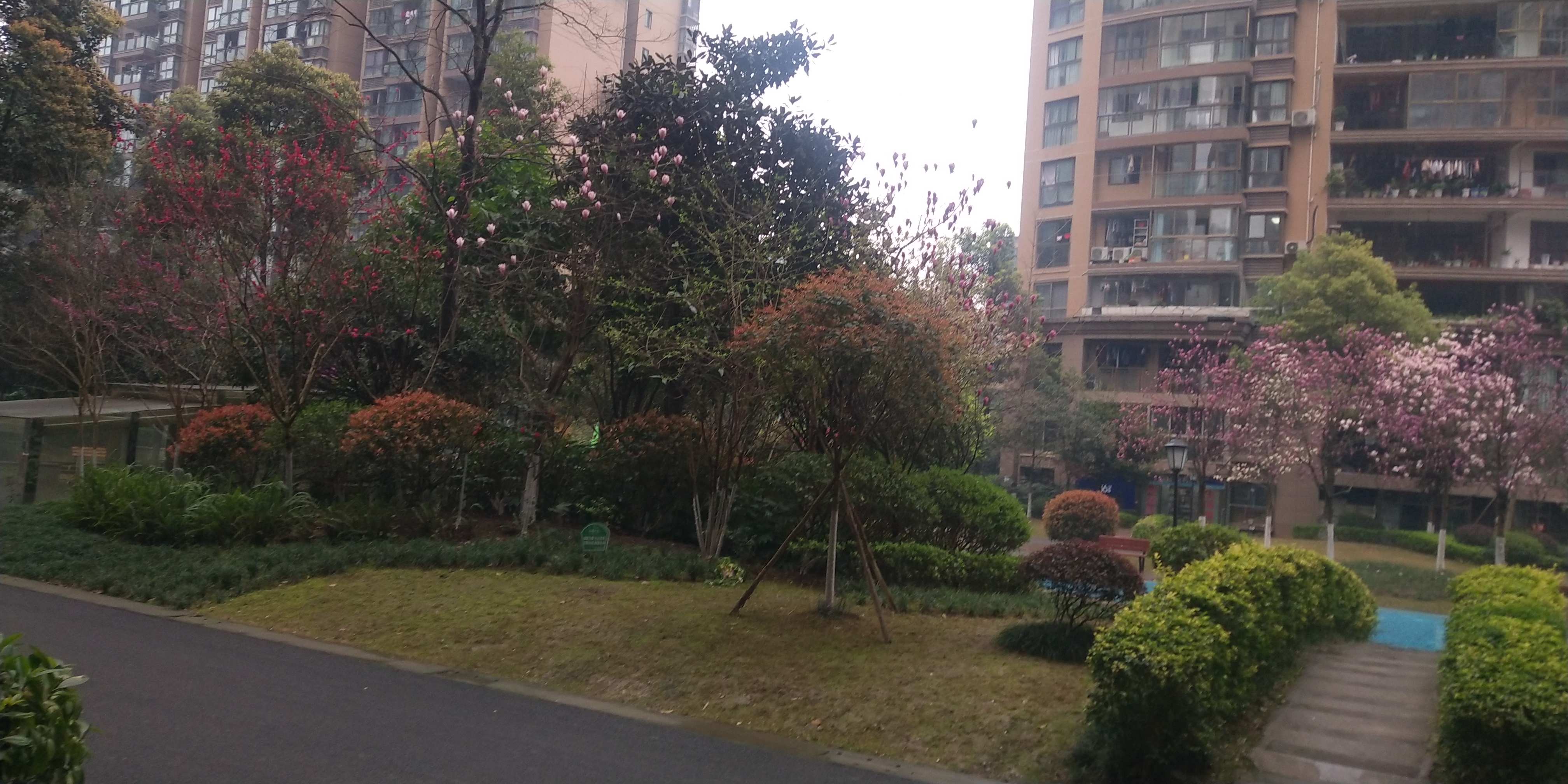 恒大雍河灣