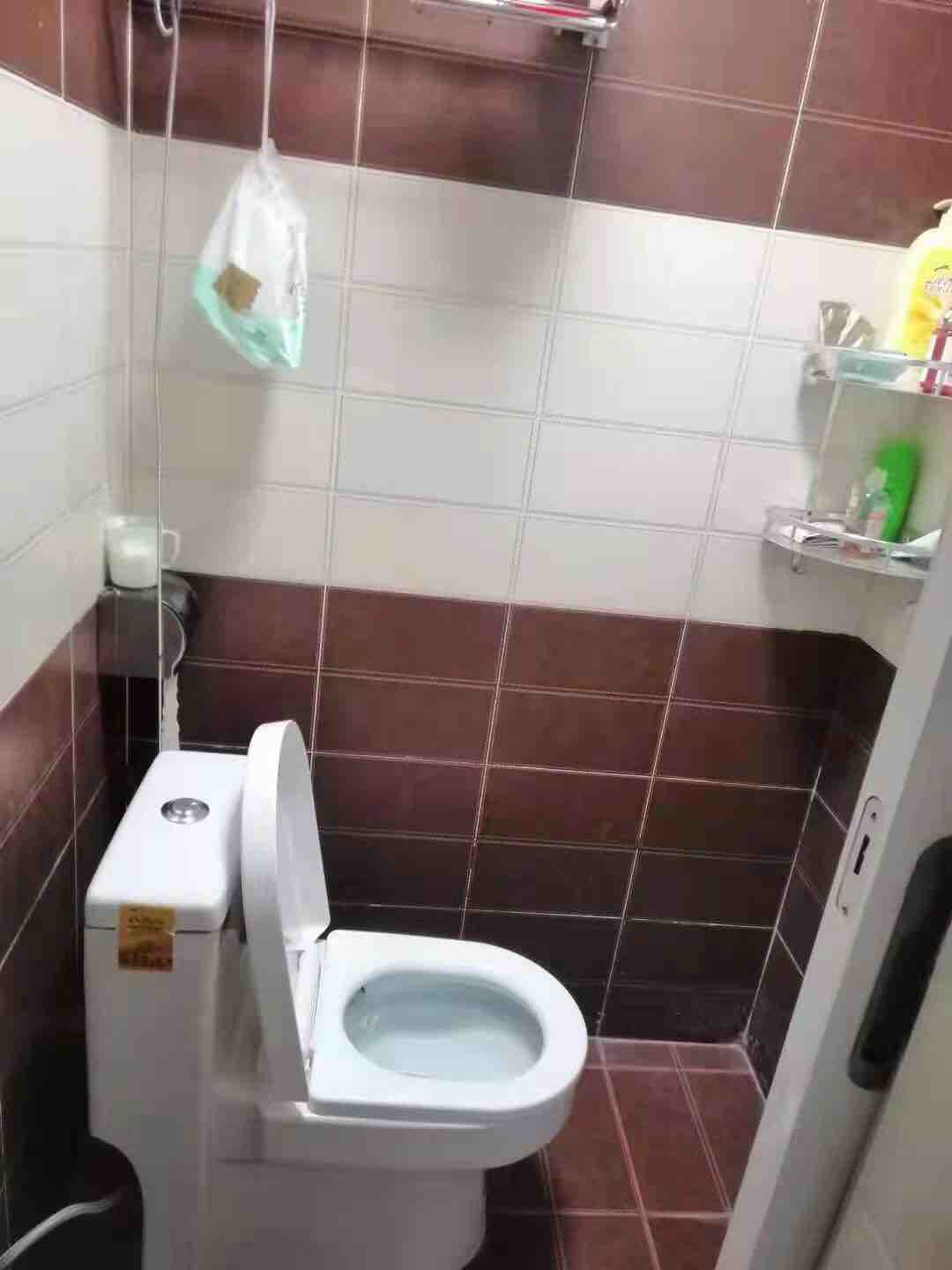 时兴尚上城