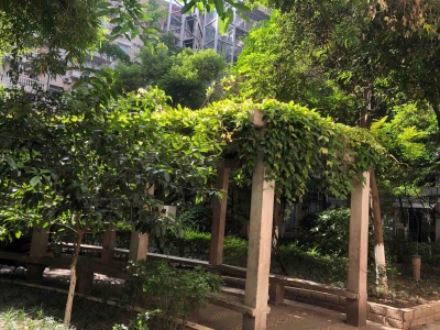 侨兴茗苑