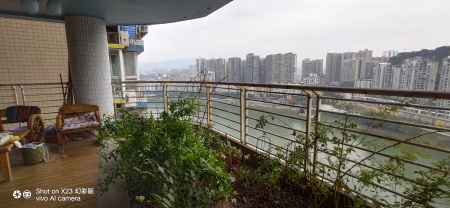 滨江丽都