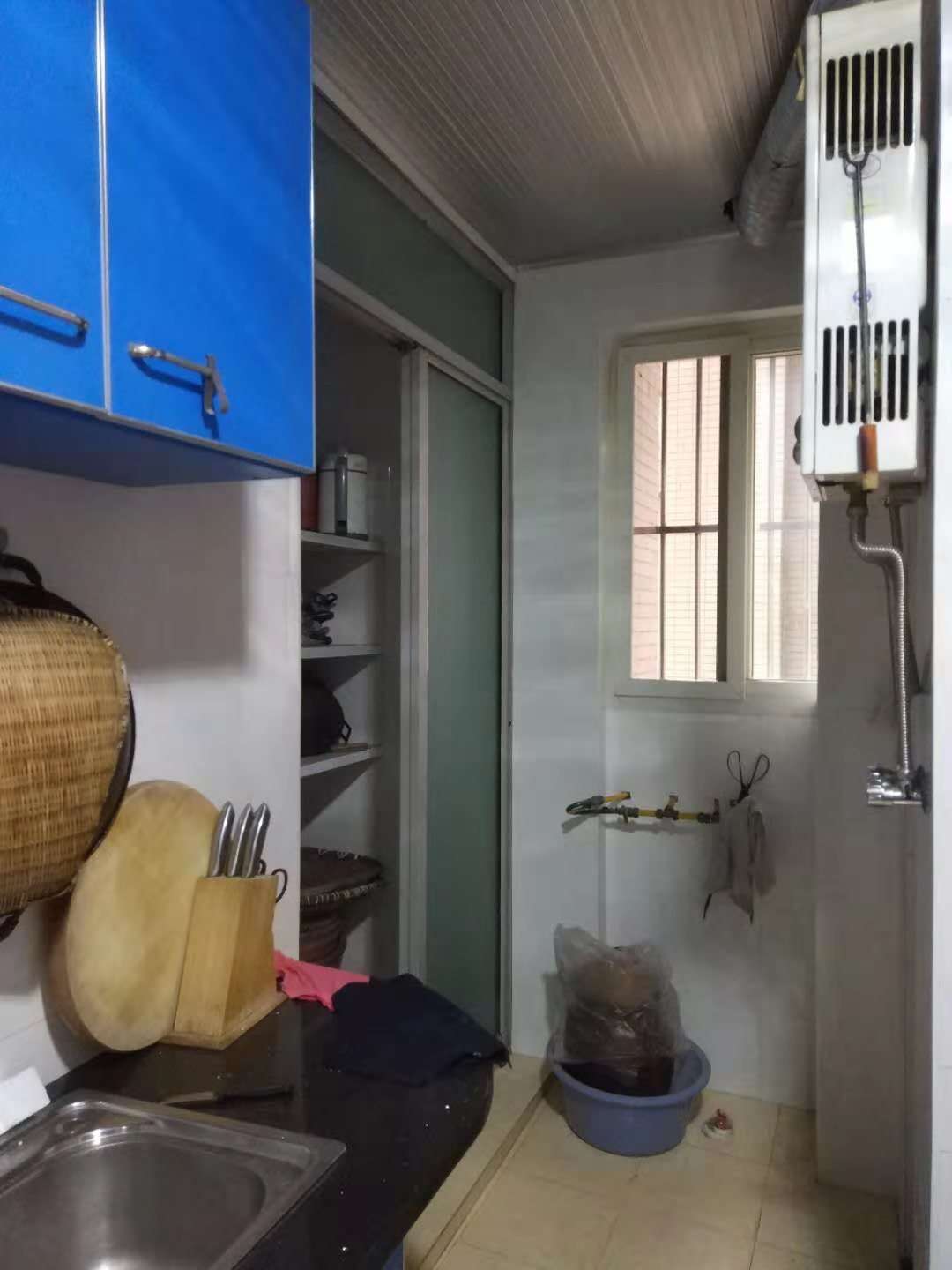 滨江风景