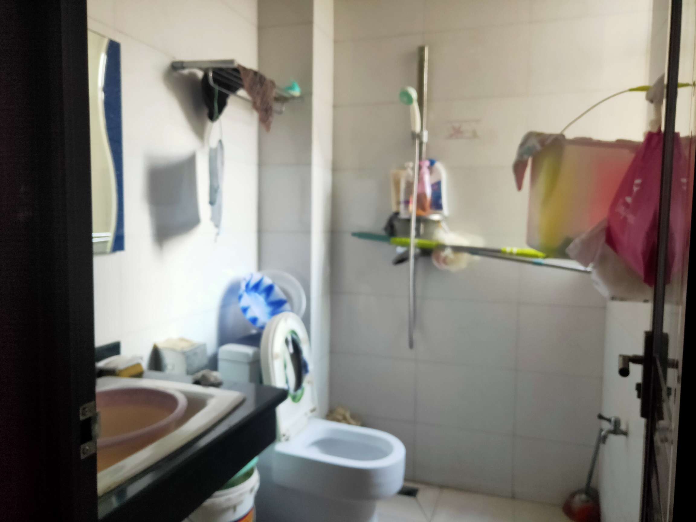 罗浮阳光
