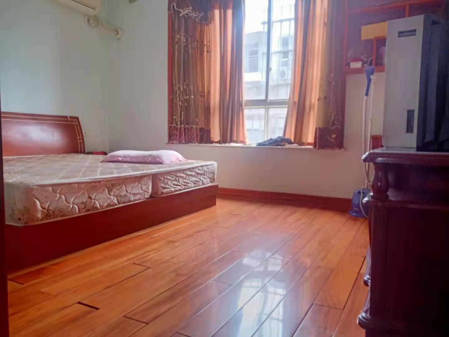 新世陽光