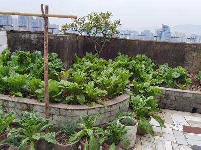 金兰小区