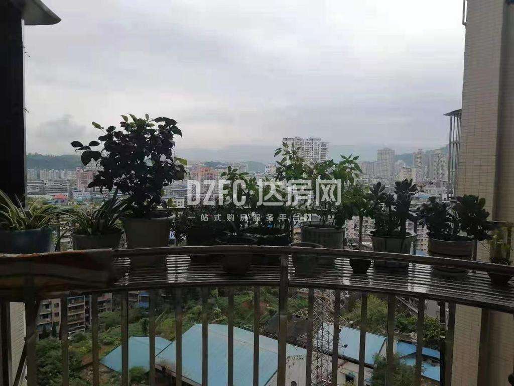 濱江風景