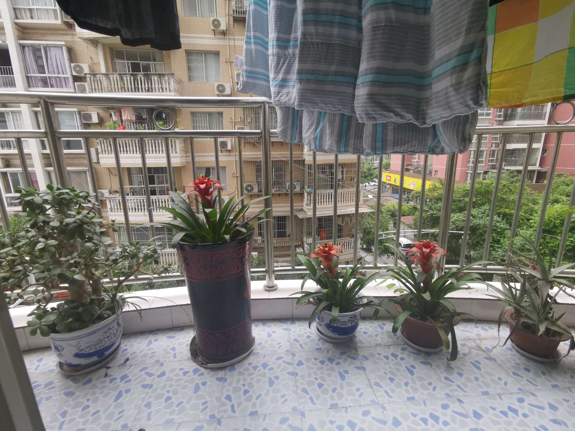 清晨御廷苑一期