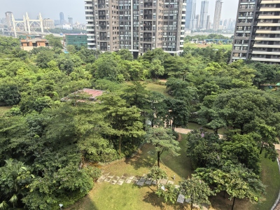 中信红树湾南区(中信红树湾三四期)