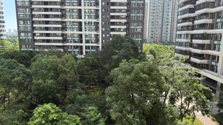 中信红树湾南区(中信红树湾三四期)