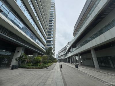 臻湾国际