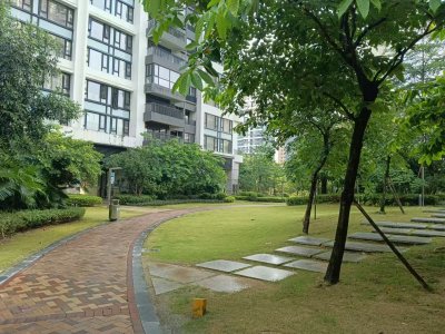 中信红树湾南区(中信红树湾三四期)