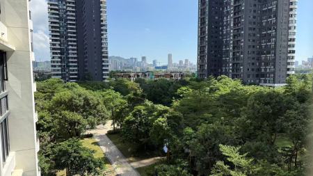 中信红树湾南区(中信红树湾三四期)