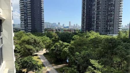 中信红树湾南区(中信红树湾三四期)