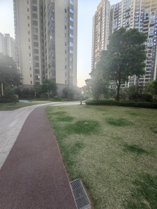 华发又一城(二三四六八期)