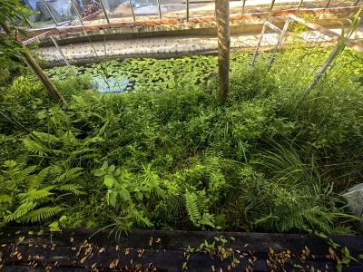 华发水郡