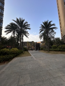 华发又一城(二三四六八期)