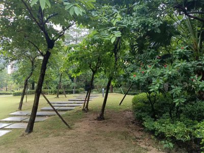中信红树湾南区(中信红树湾三四期)