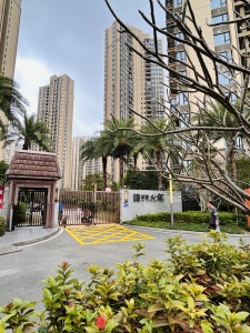 华发又一城(二三四六八期)