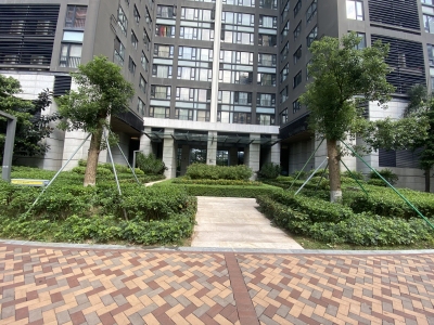 中信红树湾南区(中信红树湾三四期)
