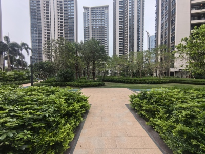 琴澳新城银景湾