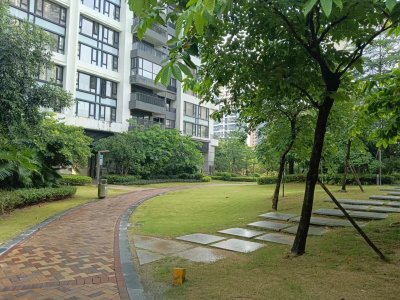 中信红树湾南区(中信红树湾三四期)