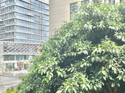 K2荔枝湾南区
