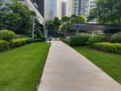 中信红树湾南区(中信红树湾三四期)