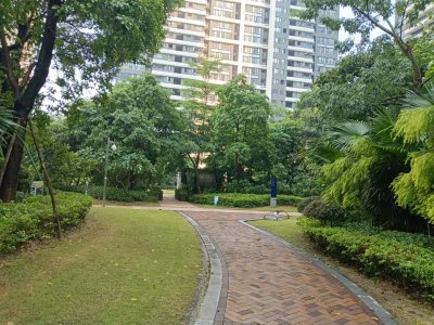 中信红树湾南区(中信红树湾三四期)
