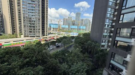 中信红树湾南区(中信红树湾三四期)