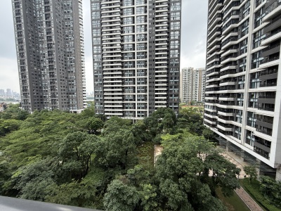 中信红树湾南区(中信红树湾三四期)