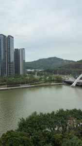 华发广场横琴府三期