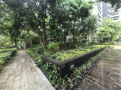 中信红树湾北区(中信红树湾一二期)