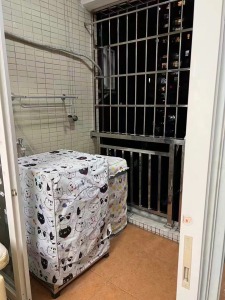 锦绣柠溪