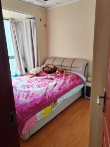 中亿公园王府
