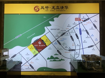 凤竹龙立清华