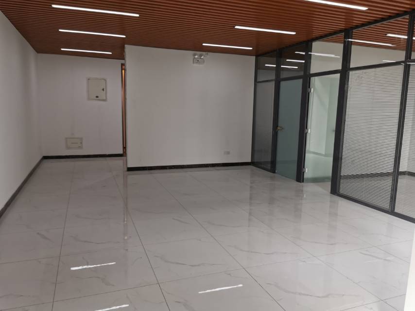 碧桂园凤凰中心（17租）