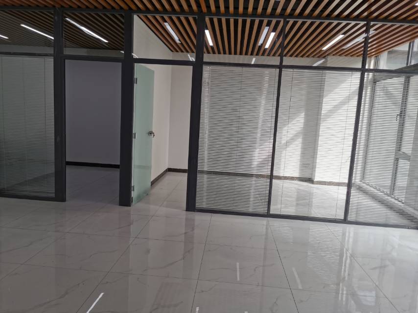 碧桂园凤凰中心（17租）