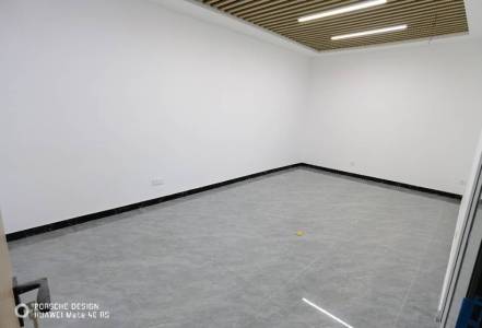 碧桂园凤凰中心（17租）
