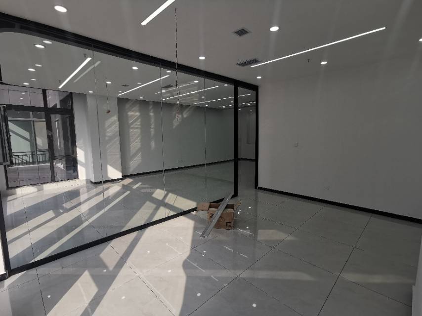 碧桂园凤凰中心（17租）