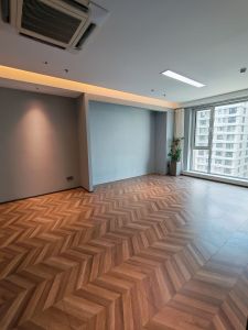海信龙奥9号(17租)