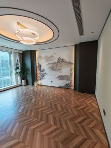 海信龙奥9号(17租)