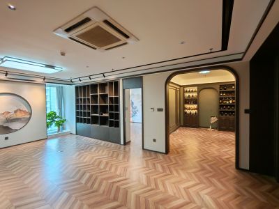 海信龙奥9号(17租)