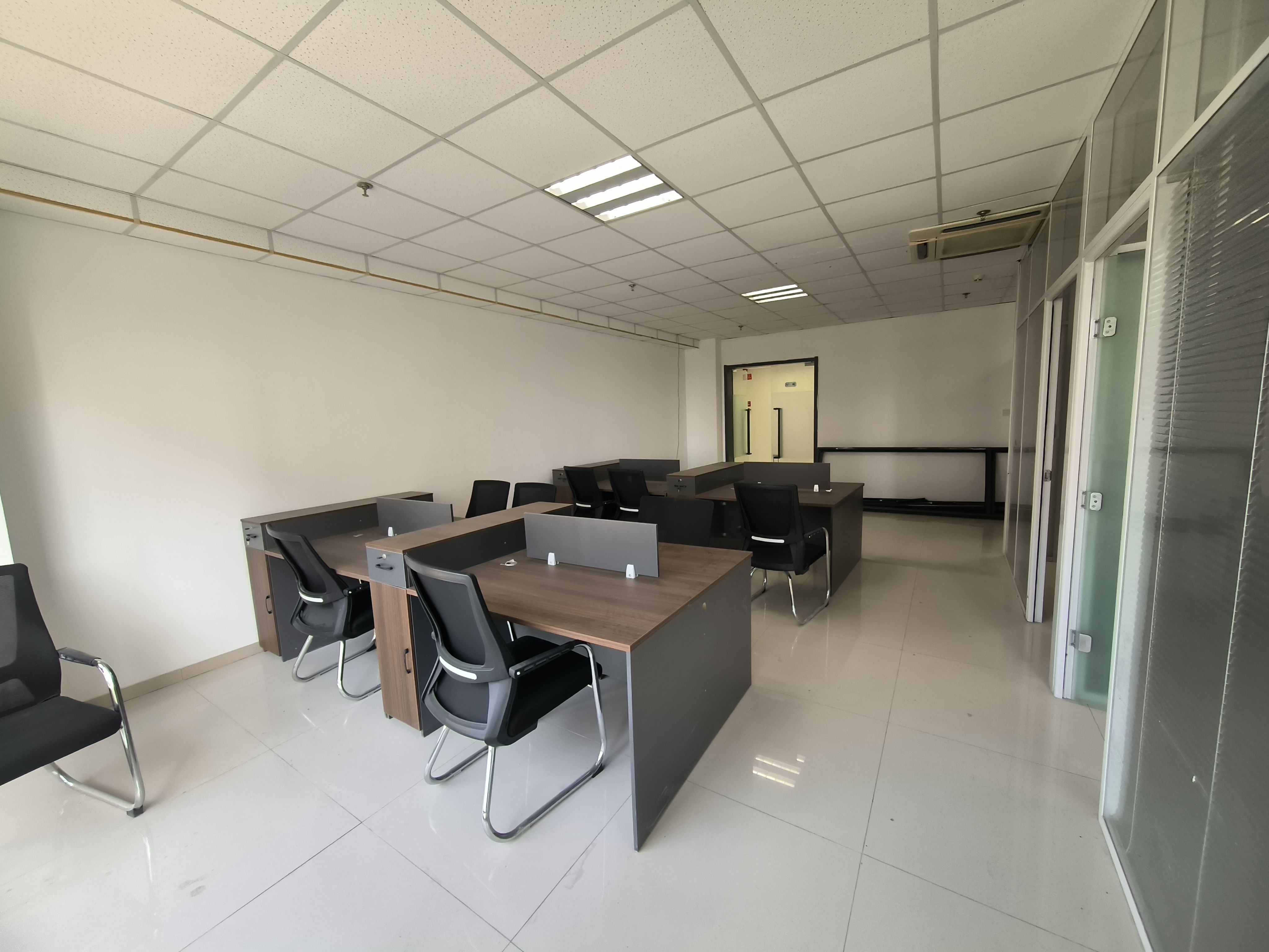 海信龙奥9号(17租)